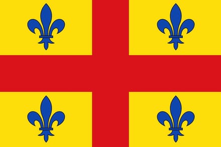 Vlag Lint 100x150cm