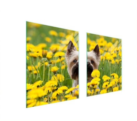 TMK ArtDeko - Glasplaat Bescherming - 85x52 - Hittebestendig - Antibacterieel