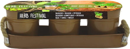 Herb Festival - 3 (Brons)