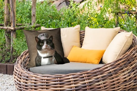 Buitenkussen - Kat - Kokskleding - Zwart - Wit - 45x45 cm - Weerbestendig