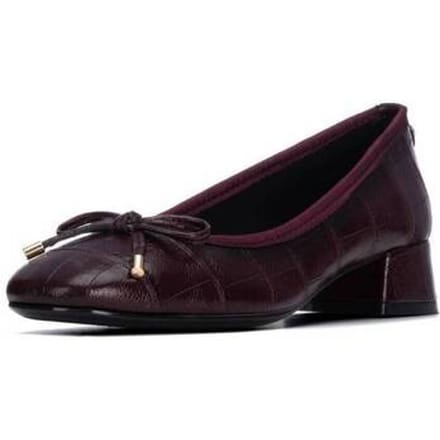 Ballerina's Xti 14637701