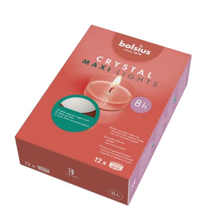 Bolsius - Maxi - Theelichten - 12 stuks per verpakking - Clear cup - Doos