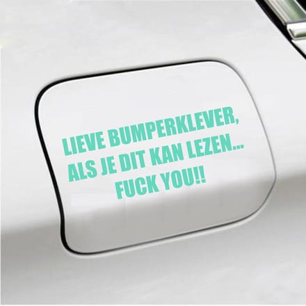 Bumpersticker - Lieve Bumperklever - 6 X 14,8 - Mint