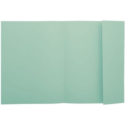 Exacompta SUPER 210 - Pak van 50 dossiermappen met 1 klep - 24x32cm - Lichtgroen - 339004E