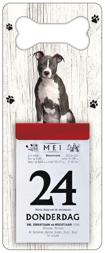 Scheurkalender 2027 Hond: American staffordshire terrier
