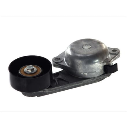 Riemspanner, Poly V-riem DAYCO APV2592