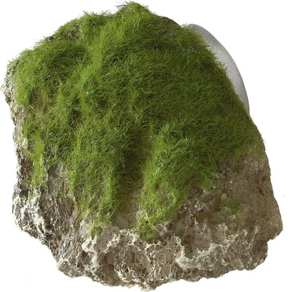 Aqua Della - Aquariumdecoratie - Vissen - Moss Stone With Suction Cup Xs - 9x6x6,5cm - 1st