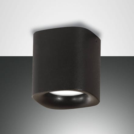 Fabas Luce Plafondlamp Smooth, 1-lamp, zwart, IP44