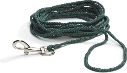 Beeztees Zoeklijn - Hondenriem - Nylon - Groen - 10M