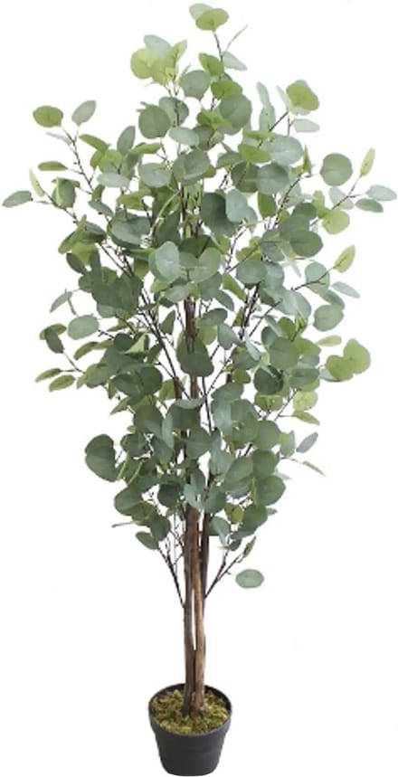 Kunst Eucalyptus Boom - Namaak Kamerplant - 160cm - Kunstplant Groen