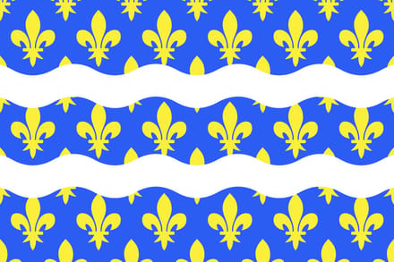 Vlag Seine-et-Marne 100x150cm