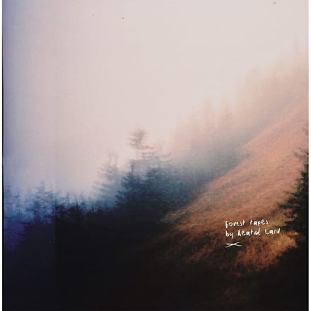 Heated Land - Forest Tapes (LP)