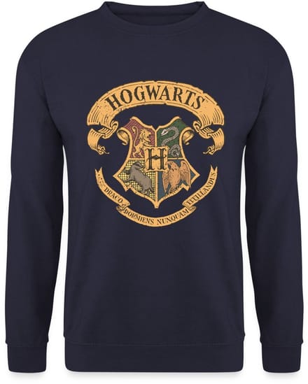 Harry Potter Zweinstein Wapenschild Hogwarts Sweater Heren