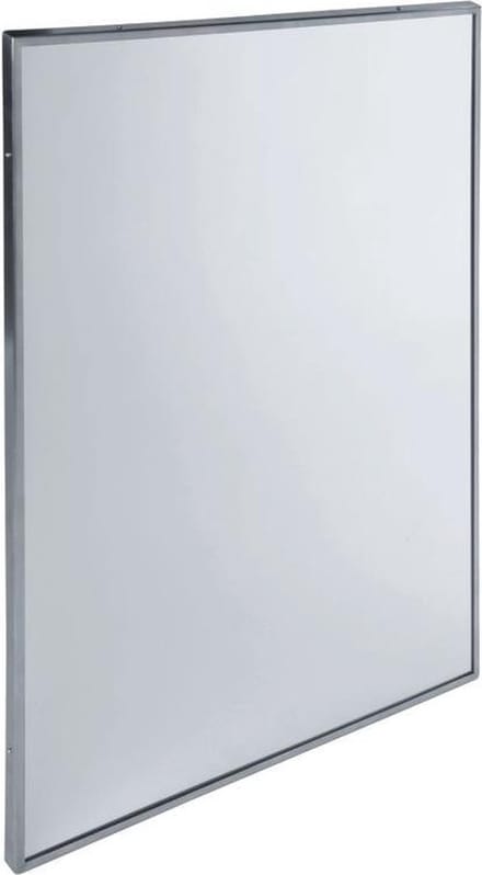 Mediclinics - Spiegel RVS 700 x 500 mm