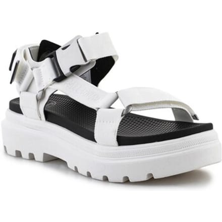 Sandalen met sleehak Palladium Pallacruise Strap Star
