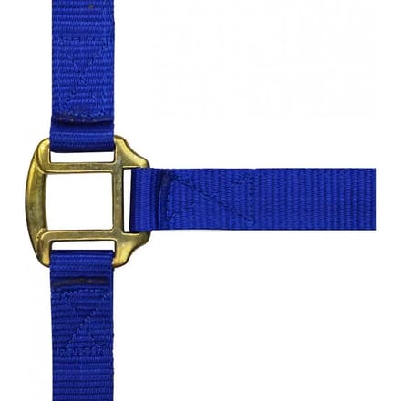 Halster voor paarden Norton Doublé cuir