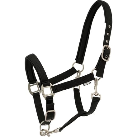 Halster voor paarden Norton Nacre