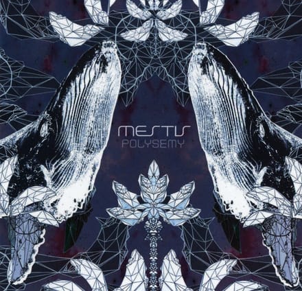 Mestis - Polysemy (CD)