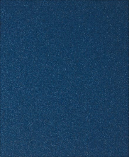 BOSCH SCHUURBLAD VOOR METAAL 230X280MM KORREL 40