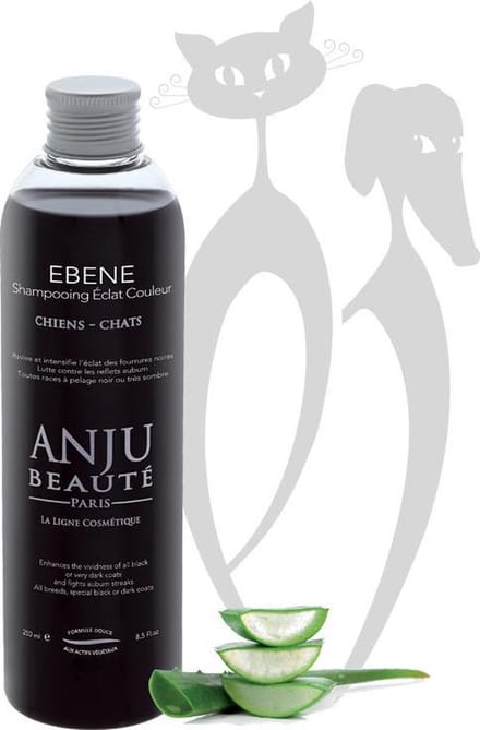 Anju Beauté, Ebene Shampoo 500 mL