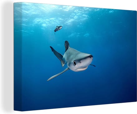 Canvas Schilderij Grote blauwe haai - 90x60 cm - Wanddecoratie