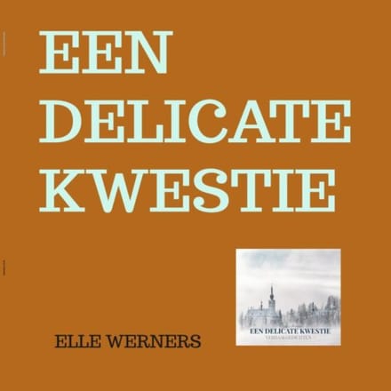 Een Delicate Kwestie - ELLE WERNERS