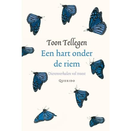 Een Hart Onder De Riem - Toon Tellegen