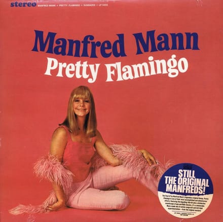 Pretty Flamingo