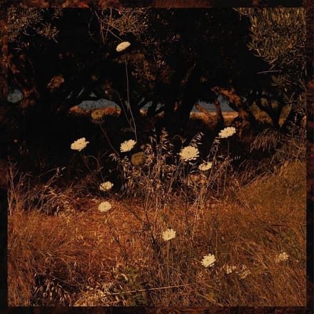 Szun Waves - Earth Patterns (CD)