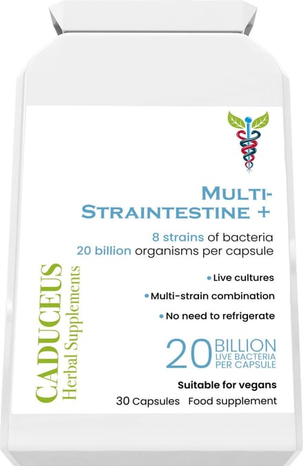 Multi-Straintestine 30 capsules