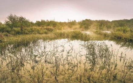 Fotobehang - Morning View II 400x250cm - Vliesbehang
