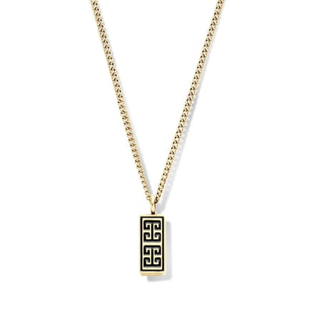 Frank 1967 7FN-0016 Stalen Heren Ketting met Hanger - lengte 60 cm - Goudkleurig - Cadeau voor mannen