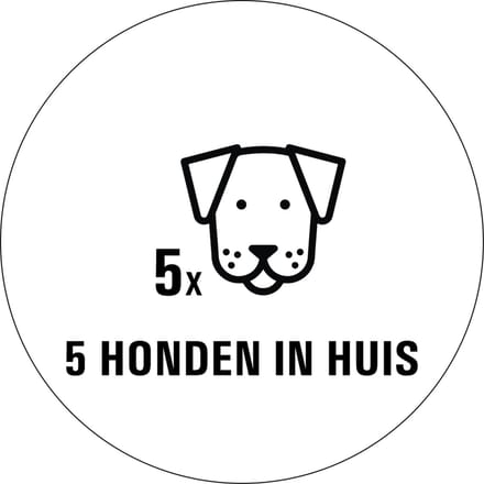 Honden in huis sticker - 80 x 80 mm 5