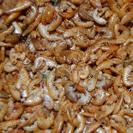 Gedroogde Vlokreeftjes (Gammarus) 250 ML Pot