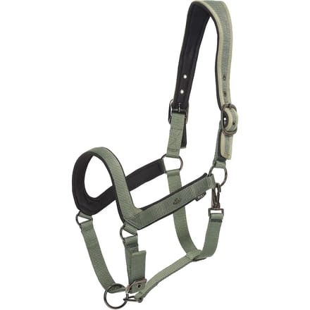 Halster voor paarden HV Polo Essential