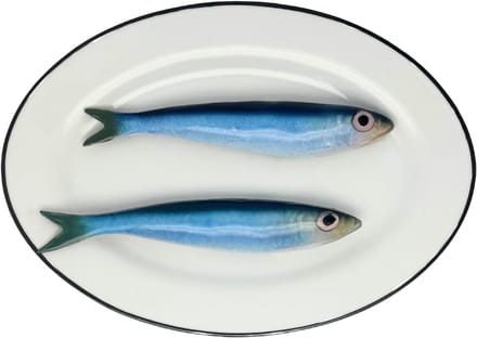 Sardines op ovaal wit bord met donker grijze rand, 24x17cm