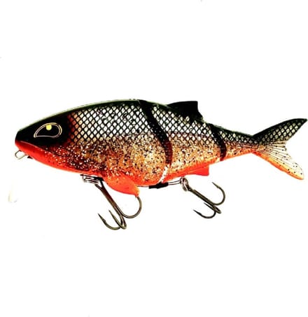 Rozemeijer 1 stuk Sweet Meat Fancy Roach (18cm)