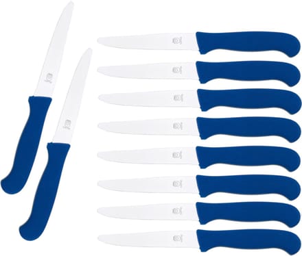 CS Solingen Tafelmes RVS - Blauw Kunststof - 10 stuks