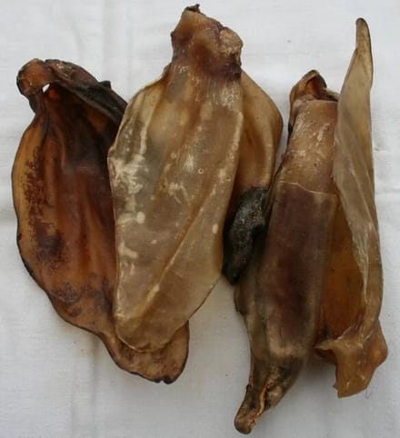 Runderoren / Kalfsoren met vlees 40 stuks
