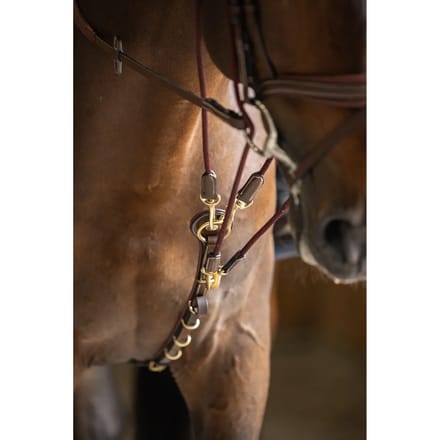 Gogue voor paard HFI