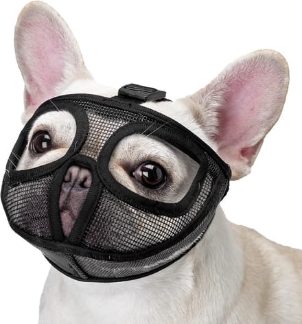 Verstelbare Korte Snuit Bench voor Bulldog en Mops - Zwart