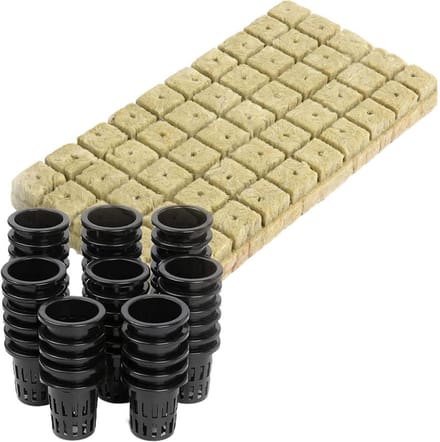 Rotswol Kubussen - Zaadstart Medium - Planten Vermeerderen - Grondloze Groei - 50 Stuks - Wit