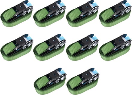 vidaXL Spanbanden 10 st 800 daN 6 m groen