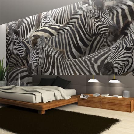 Fotobehang - Kudde zebra's