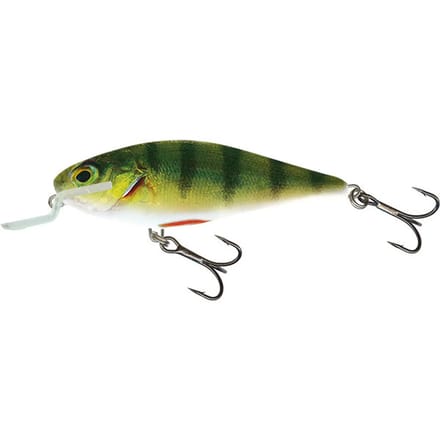Lok Salmo IEX12SR Holgraphic