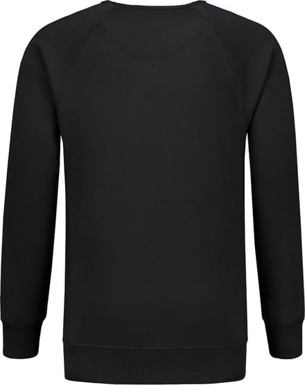 L&S Heavy Sweater Raglan Crewneck for him