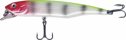 Albatros Catch21 Long Luke Red head