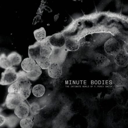 Minute Bodies: The Intimate World - Tindersticks