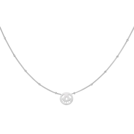 Ketting ronde pompoen - RVS - Zilver - verstelbaar