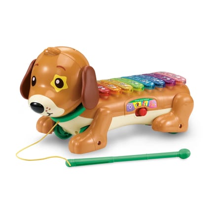 Premium Collection Vtech Baby Timmie Teckel  Xylofoon